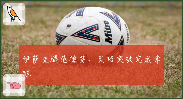 伊萨克遇范德芬，灵巧突破完成拿球