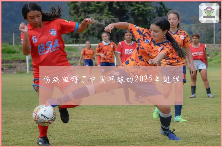 伤病阻碍了中国网球的2025年进程